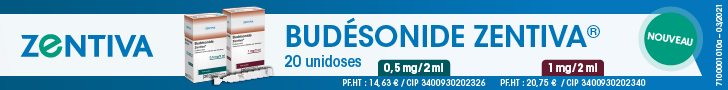 Zentiva-Budesonide-Ban-728x90-2021-04-12 Zentiva-Budesonide-Ban-Dynamis santé